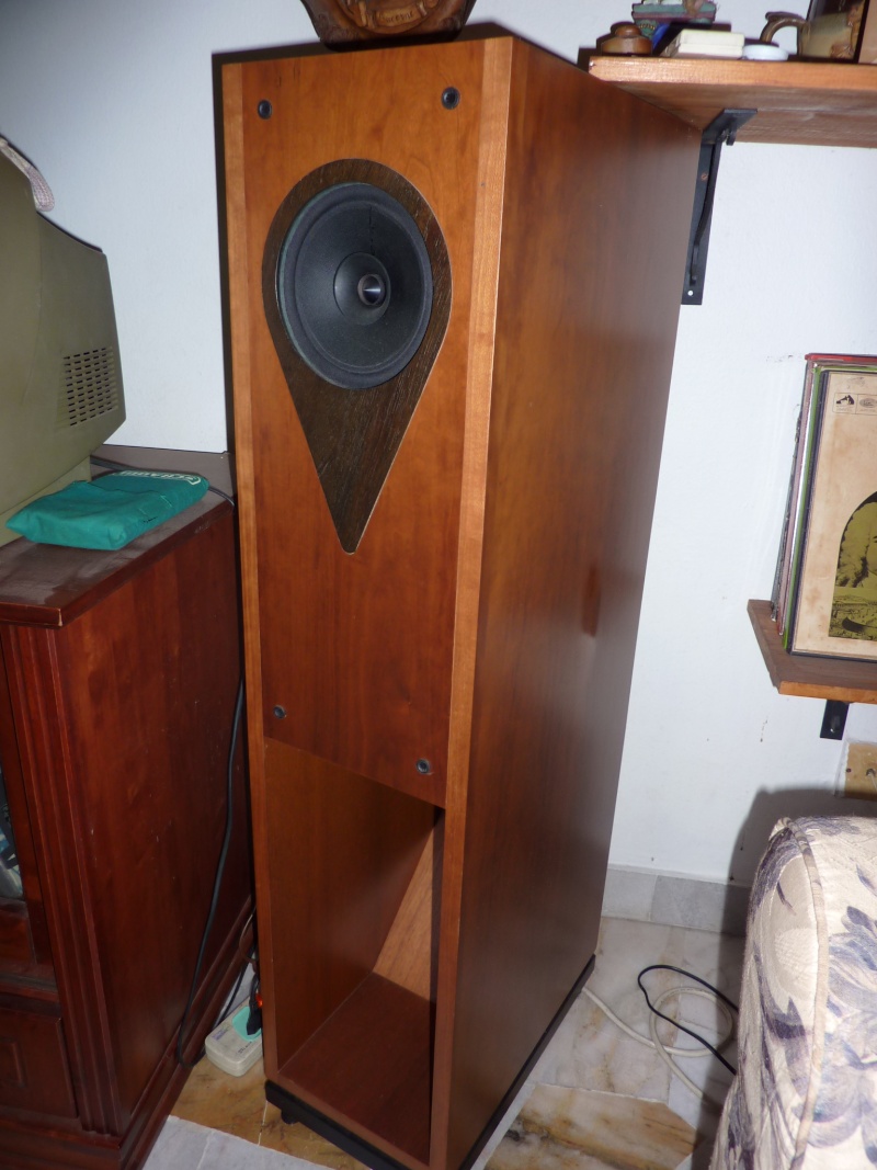 Loth X Aura speakers (Used) SOLD P1030012