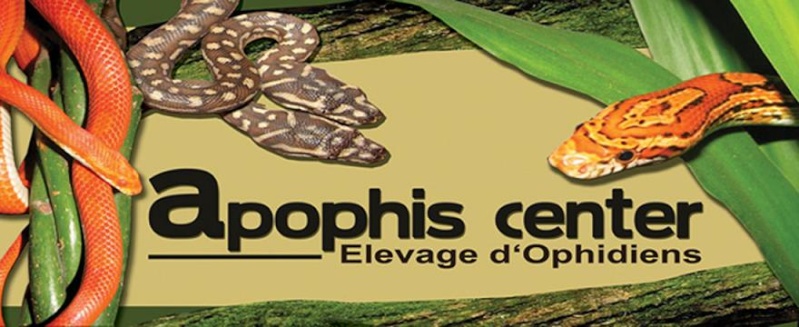 Le Blog d'  Apophis Center Ff10