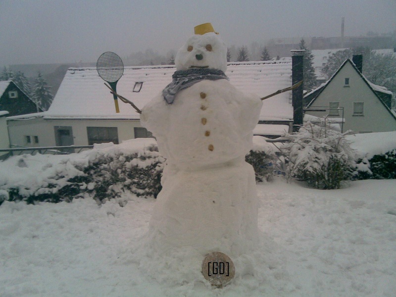 [GD] Snowman 29012015