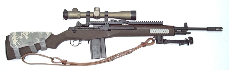 Sniper Rifles 2_m21_10