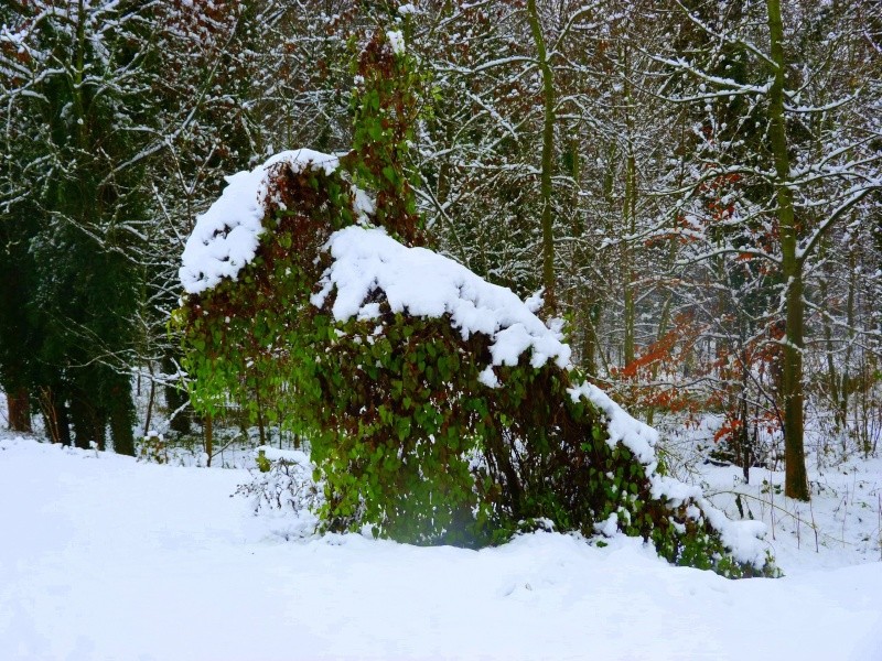 Paysages sous la neige - Page 2 P1000513