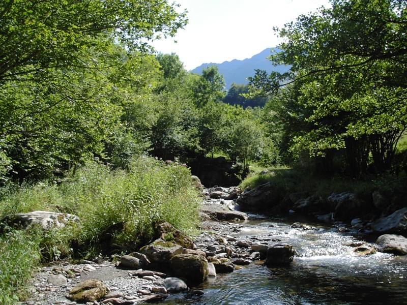 l'Ossèse et les Cors sauvés ? - Page 3 Ossese11