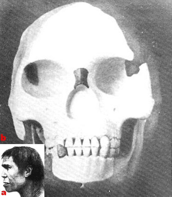 paléoantropologie Charles Dawson Arthur Smith Woodward Piltdown décembre 1912 crâne humain le plus ancien chainon manquant canular supercherie