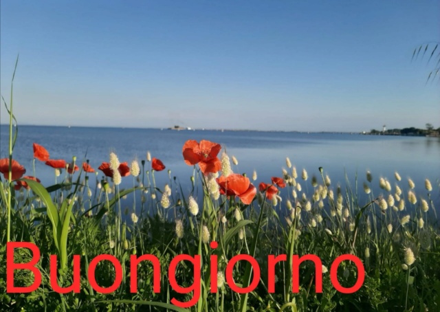 Benvenuto Giugno Img-2104