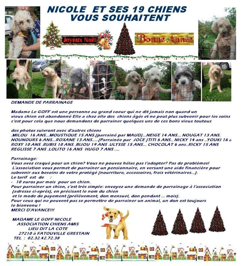 ASSO  AMIS CHIENS (27) VIEUX TOUTOUS  PARRAINER Chiens14