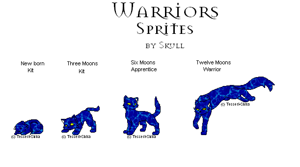 Wild´s Warrior Adopts Blaust13