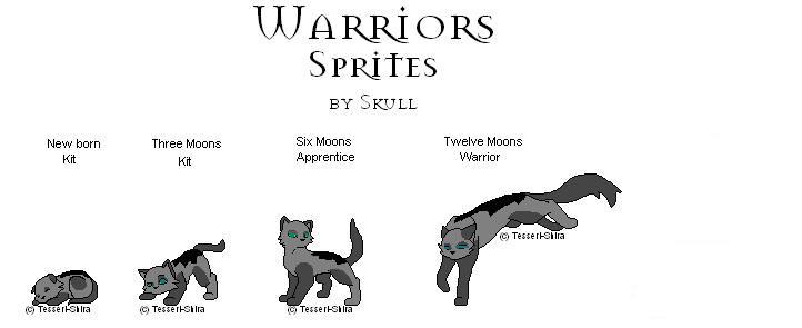 Wild´s Warrior Adopts Greysp14