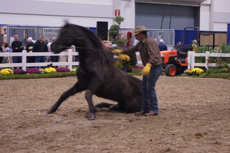 Royal Winter Fair Toronto 2010 Royal_18