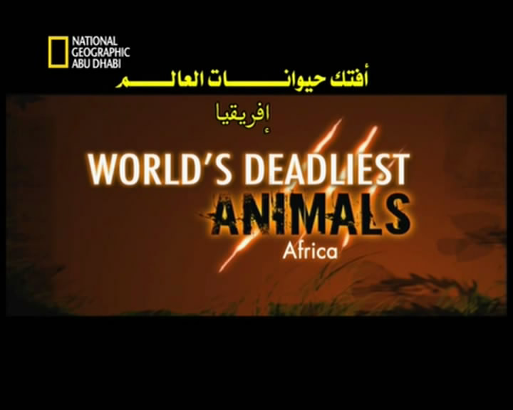 حصريا الفيلم الوثائقي أفتك حيوانات العالم - أفريقيا بمساحة 168 ميجا واعلى جودة وعلى اكثر من سيرفر 51135910
