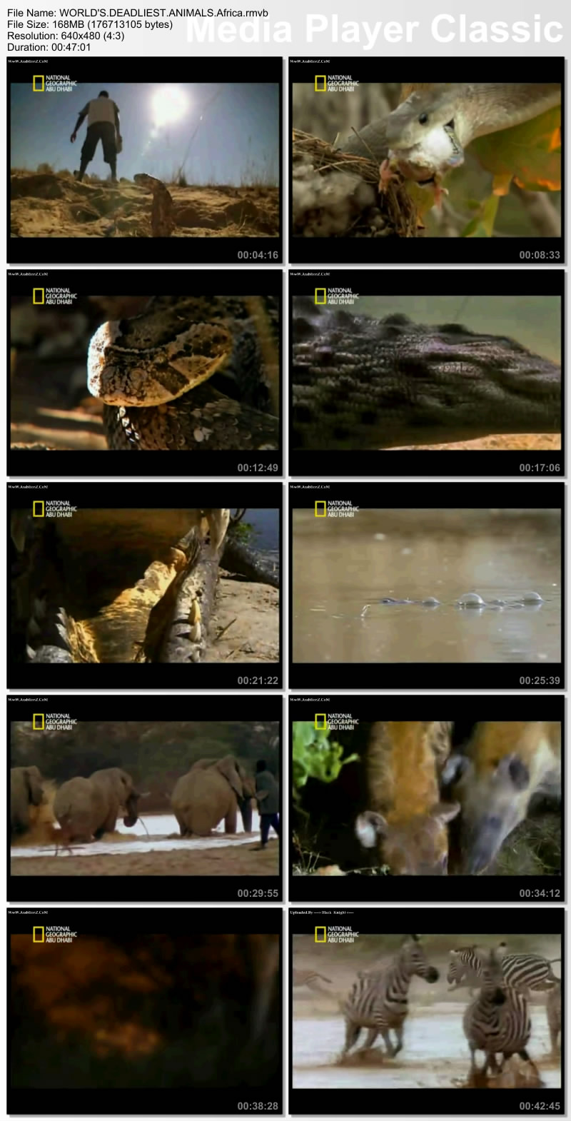 حصريا الفيلم الوثائقي أفتك حيوانات العالم - أفريقيا بمساحة 168 ميجا واعلى جودة وعلى اكثر من سيرفر Thumbs16