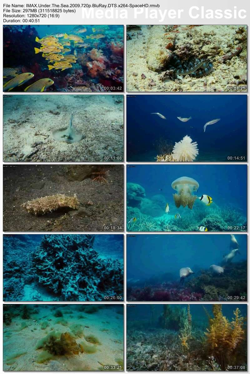 الفيلم الوثائقى الرائع تحت البحر 2009 بجودة 720p بمساحة 297 ميجا واعلى جودة وعلى اكثر من سيرفر  Thumbs23