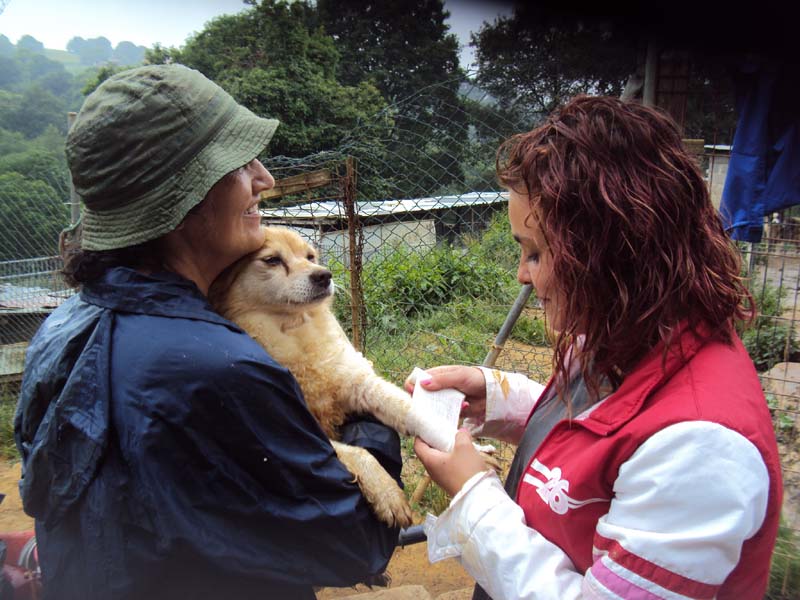 AMCF - Animal Medical Care Foundation Linda_12