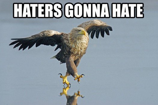 Funny Pictures. Haters10