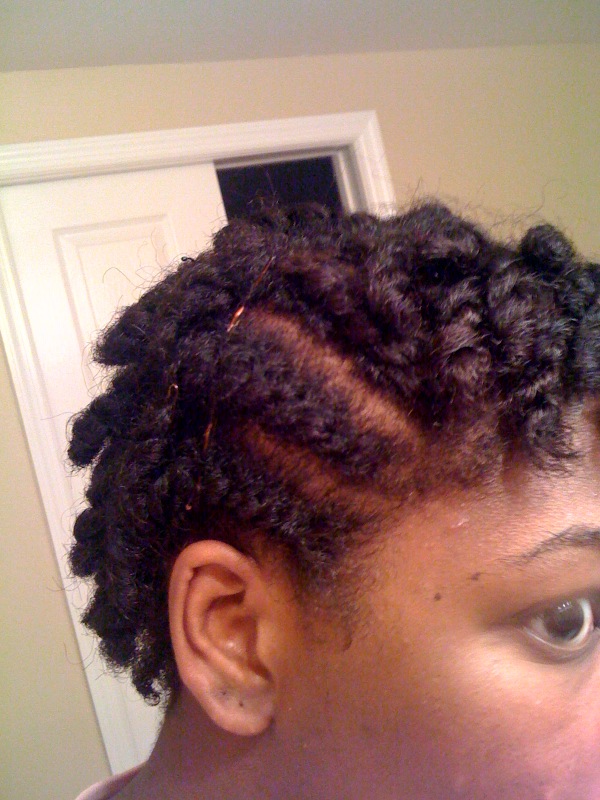 Mstokes2008-Straight hair & 1 year since my last relaxer!! - Page 8 Twists12