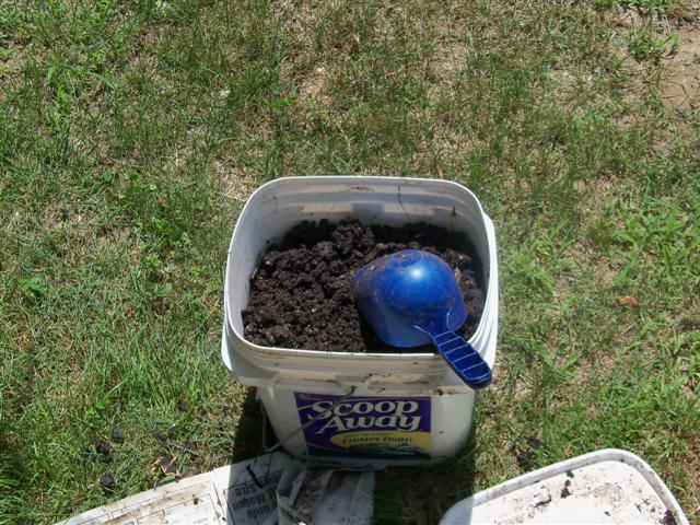 New worm compost bin 11_a_211