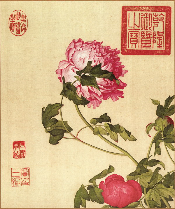 仙萼长春图册---【清】 郎世宁 139