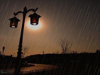 夜雨图片 411