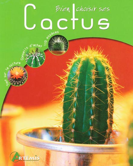 Bien choisir ces Cactus 97828410