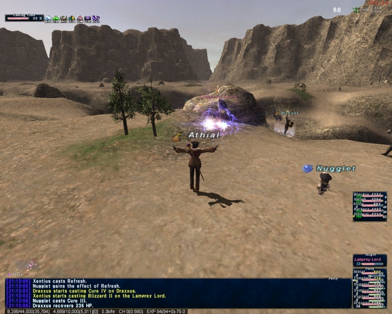 VNMs and Dynamis - Beaucedine Ffxi_218