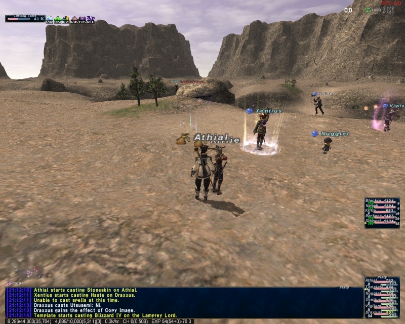 VNMs and Dynamis - Beaucedine Ffxi_219
