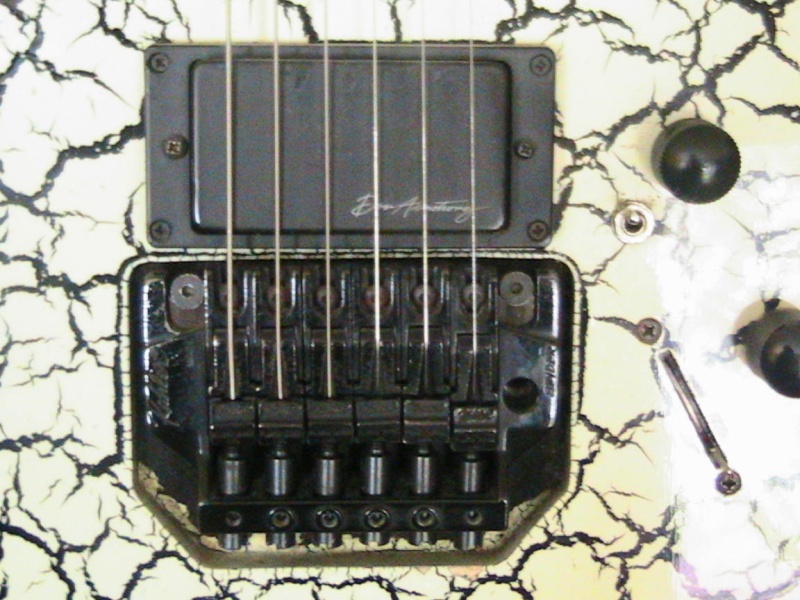 Help ID'ing this guitar Img_0315