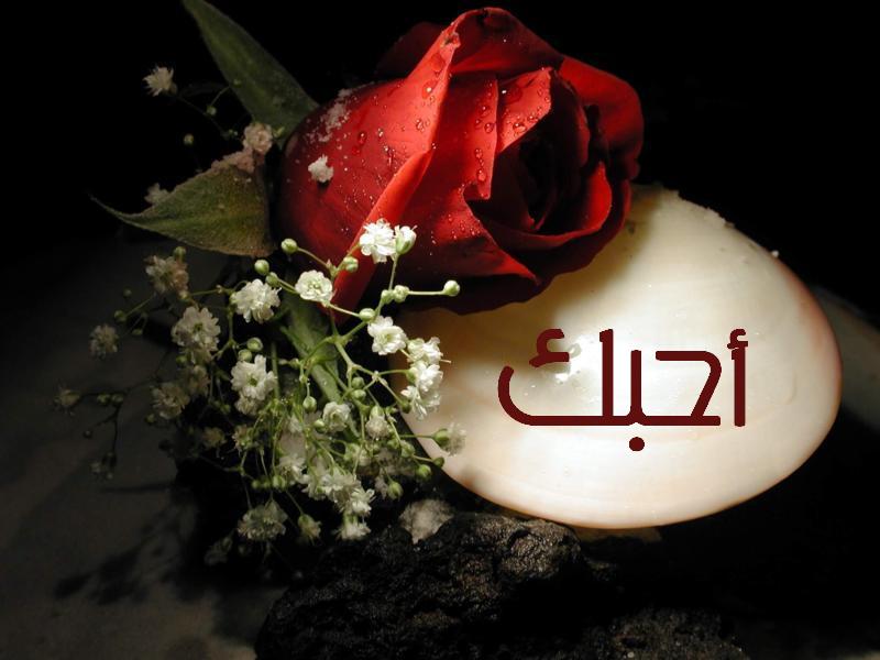 ™►►►۩۞۩█▒●الحـ♥ــب والعشق والرومانسيه●▒█۩۞۩◄◄◄™