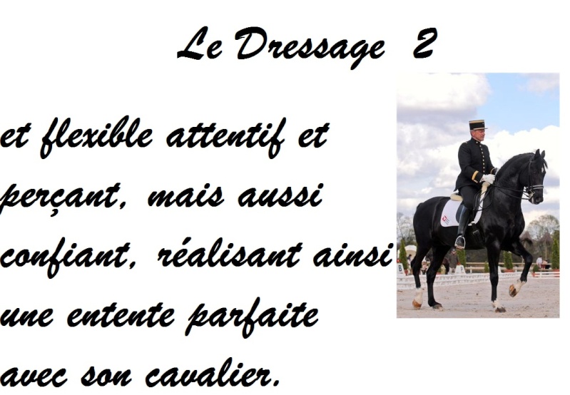 Définition du Dressage Nat1dr11