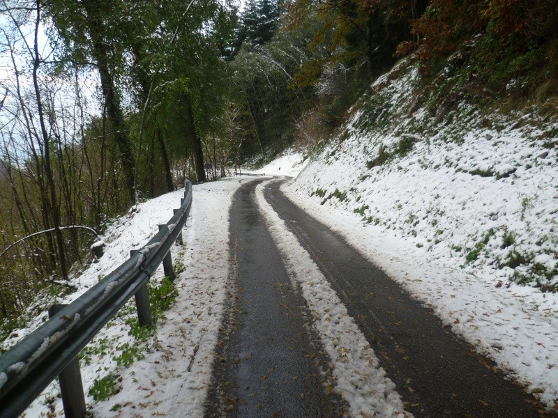 Nevicata sulle  Pizzorne ( LU ) 26 - 11 - 2010  e  04 -12 -2010 . P1020410