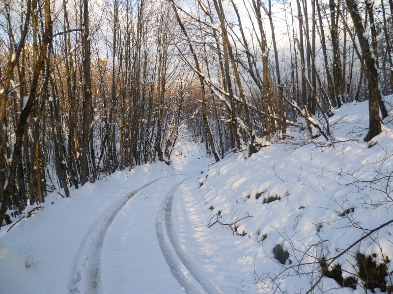 2010 - Nevicata sulle  Pizzorne ( LU ) 26 - 11 - 2010  e  04 -12 -2010 . P1020415