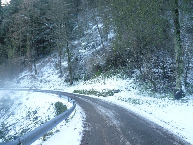 Nevicata sulle  Pizzorne ( LU ) 26 - 11 - 2010  e  04 -12 -2010 . P1020612