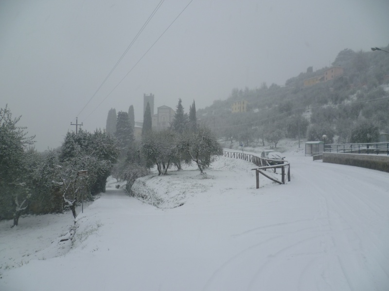 Report foto neve Lucca 17 dic. 2010 P1020715