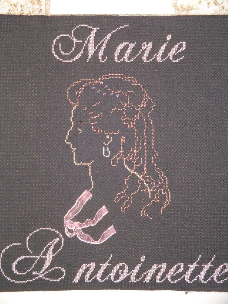 Broderie sur Marie-Antoinette Dsc00210