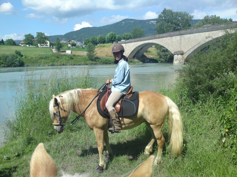 petite balade au bord du rhône Dsc00412