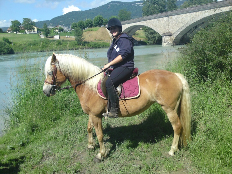 petite balade au bord du rhône Dsc00413