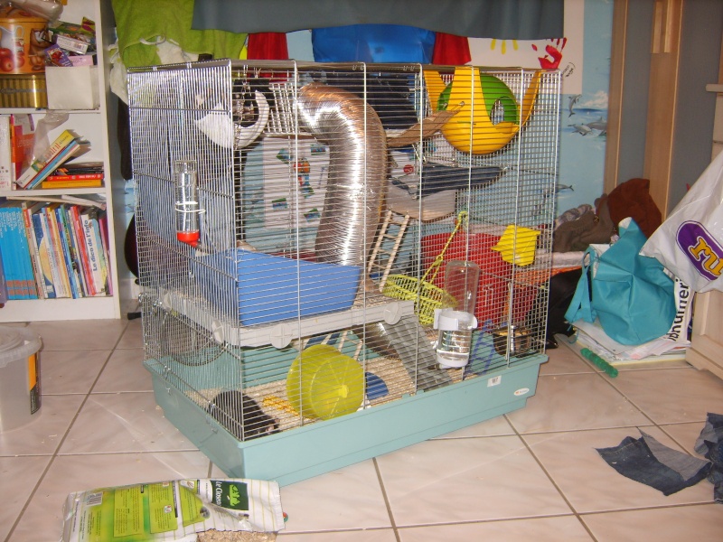 Cage Jenny  pour mon petit rat !! S8000810