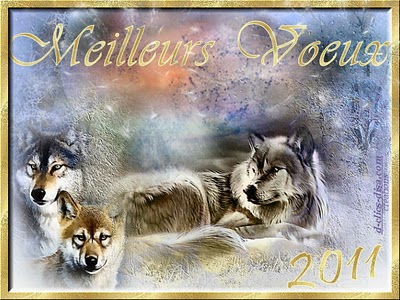 BONNE ET HEUREUSE ANNEE 2011 A TOUS ! Carte-11