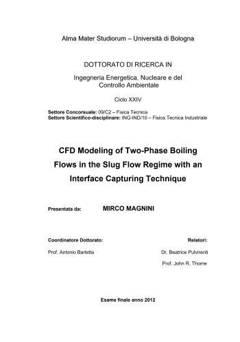رسالة دكتوراة بعنوان CFD Modeling of Two-Phase Boiling Flows in the Slug Flow Regime with an Interface Capturing Technique C_f_d_12
