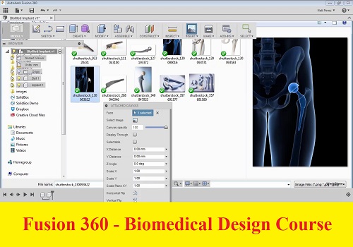 كورس تعليم التصميم للطب الحيوي - Fusion 360 - Biomedical Design Course  F_3_6_17