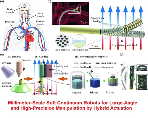 بحث بعنوان Millimeter-Scale Soft Continuum Robots for Large-Angle and High-Precision Manipulation by Hybrid Actuation  M_m_s_10