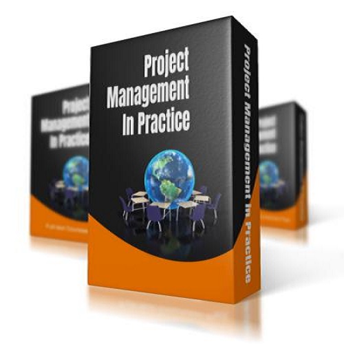 كتاب Pack Project Management in Practice for Certificate IV and Diploma  P_p_m_11