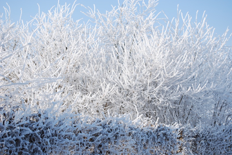 K EN TERRASSE - paysage d hiver  Dsc_0112