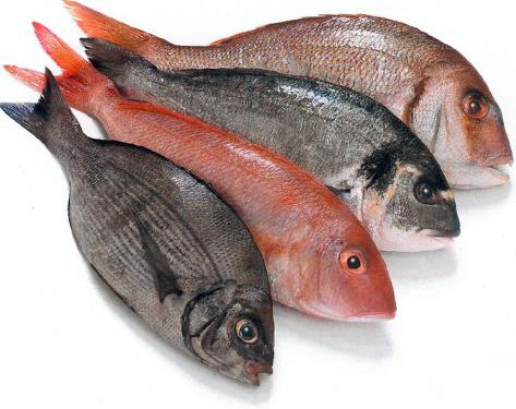 القيمة الغذائية للأسماك 246fis10