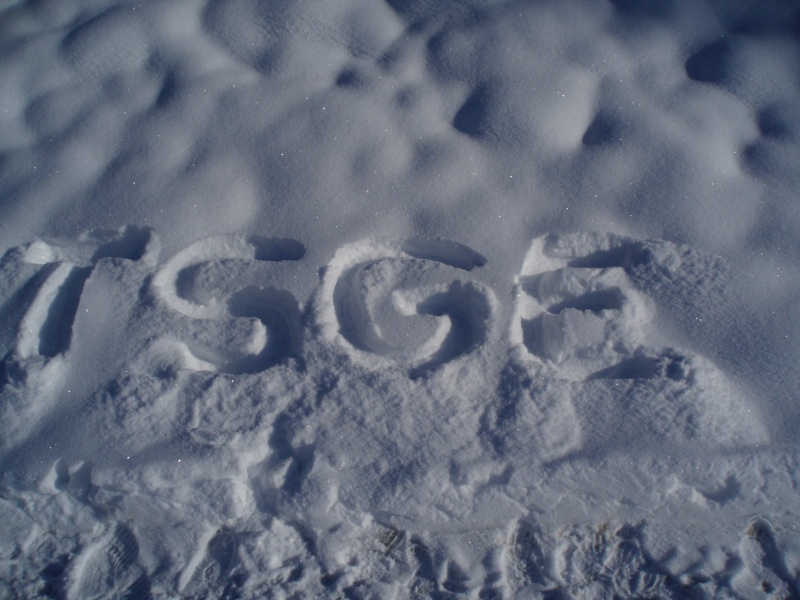 Le logo TSGE dans tous ses états ... - Page 3 Pc040010