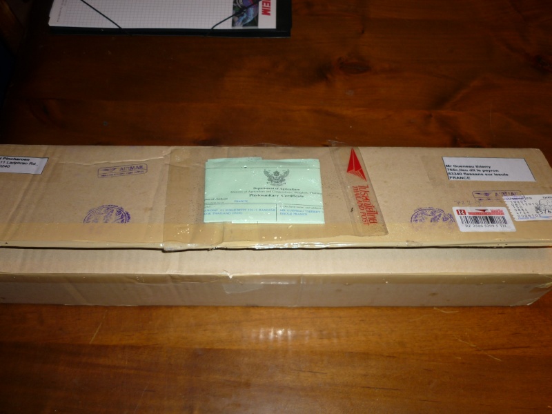 essai de commande en thailande Colis_10