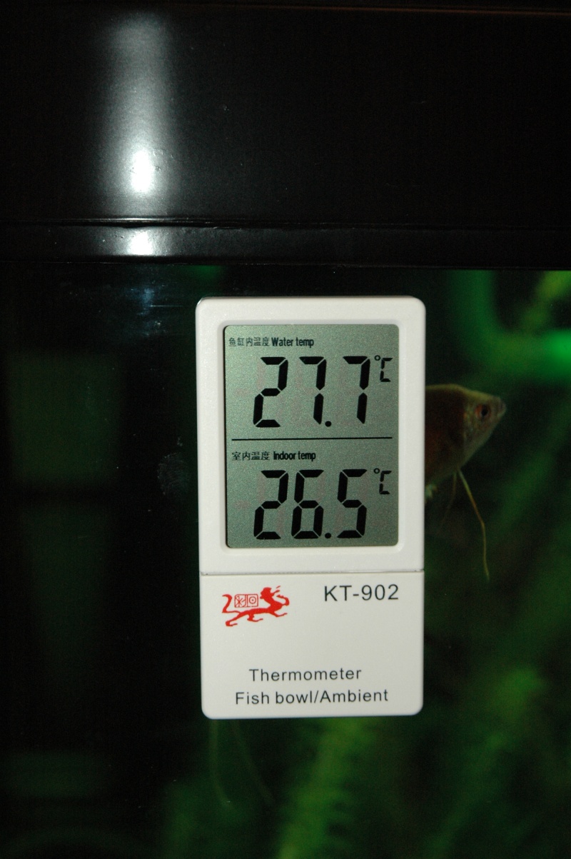 Thermometre electrique Dsc_0024
