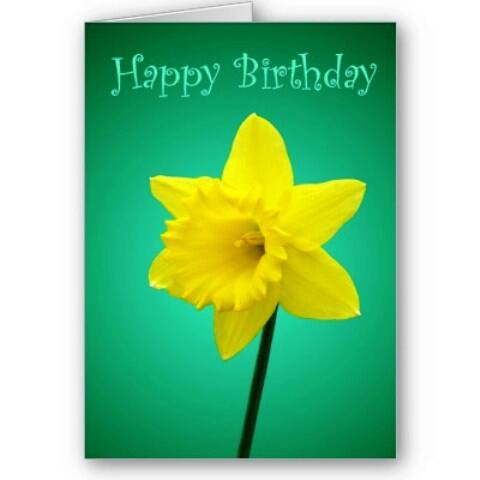 Joyeux Anniversaire Amelie Joyeux Anniversaire Amelie