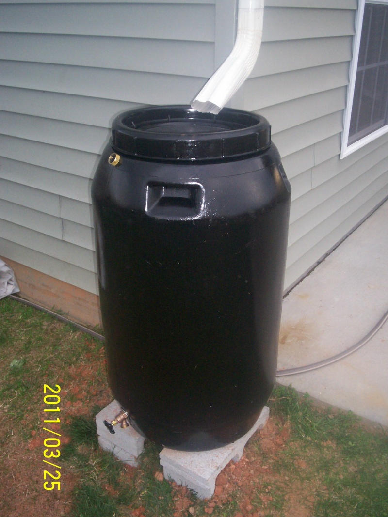 water barrels - Rain barrels - Rain collection 100_2825