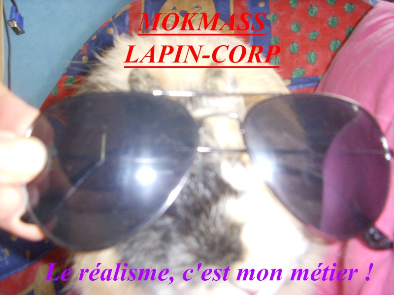 Lapinbeille présente... Mokmass Lapin-Corp ! Dscn4410