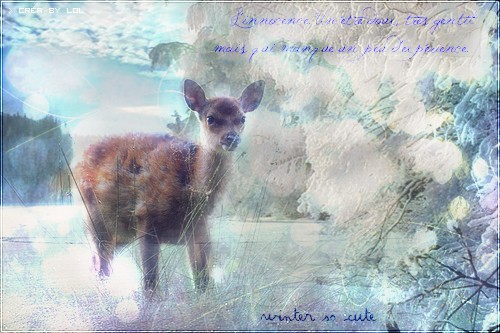 Joyeux Noel :D Bambi10