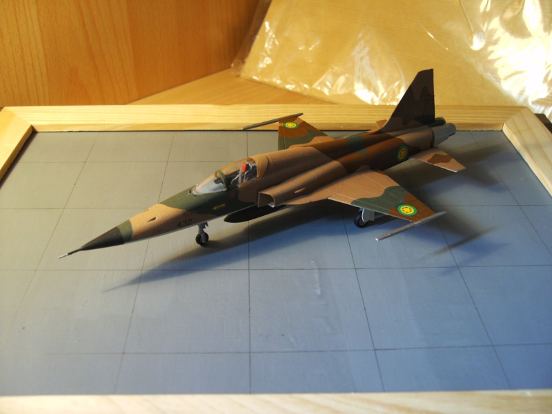 [Italeri] F-5E Tiger II - Ethiopie F-5e_e10